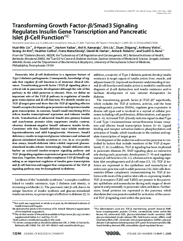(PDF) Transforming Growth Factor-β/Smad3 Signaling Regulates Insulin ...