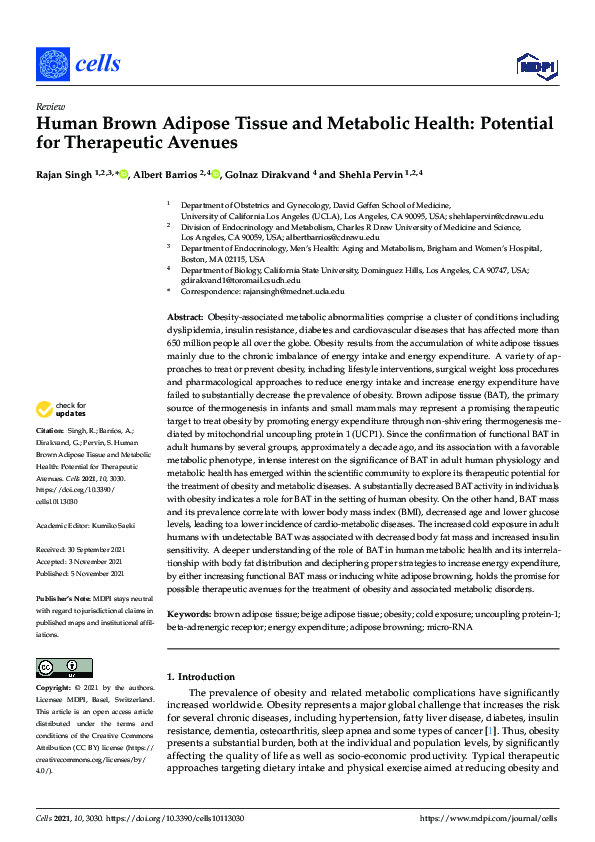 (PDF) Human Brown Adipose Tissue and Metabolic Health: Potential for ...