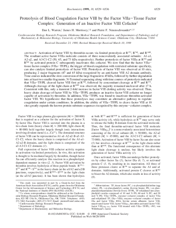 (PDF) Proteolysis of Blood Coagulation Factor VIII by the Factor VIIa− ...