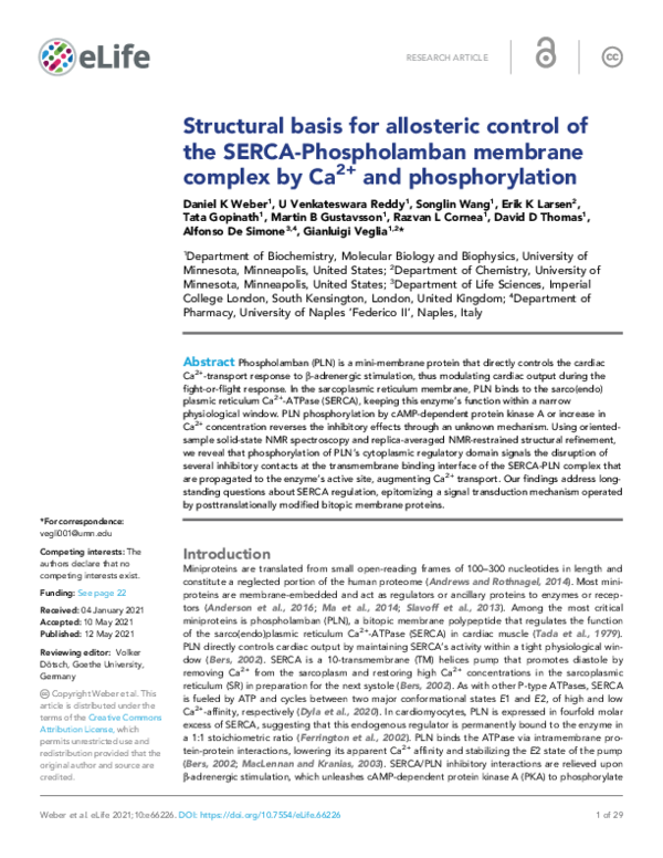 (PDF) Structural basis for allosteric control of the SERCA ...