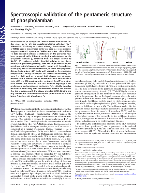 (PDF) Spectroscopic validation of the pentameric structure of phospholamban
