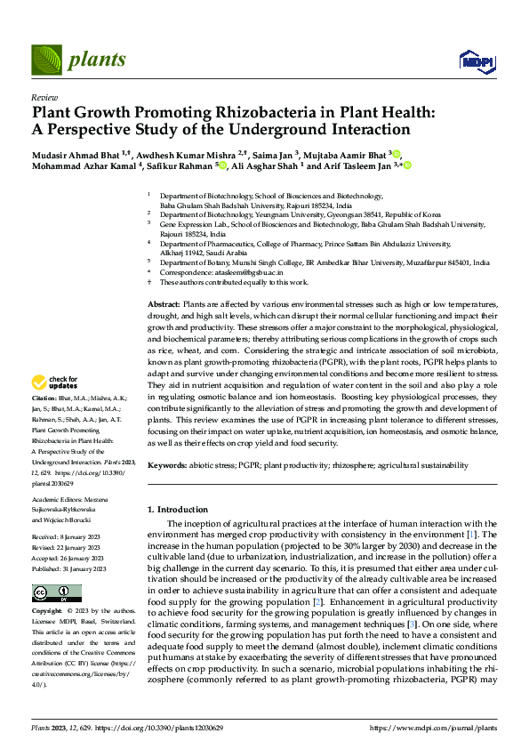 (PDF) Plant Growth Promoting Rhizobacteria in Plant Health: A ...
