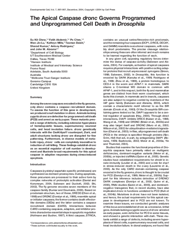 (PDF) The Apical Caspase dronc Governs Programmed and Unprogrammed Cell ...