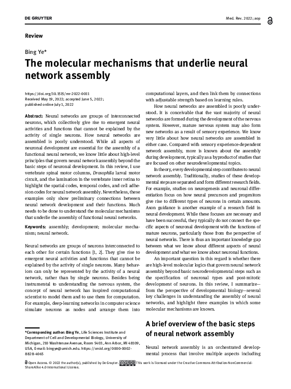 (PDF) The molecular mechanisms that underlie neural network assembly