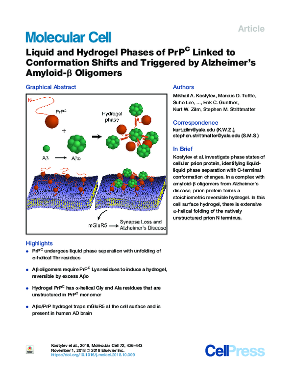 (PDF) Liquid and Hydrogel Phases of PrPC Linked to Conformation Shifts ...