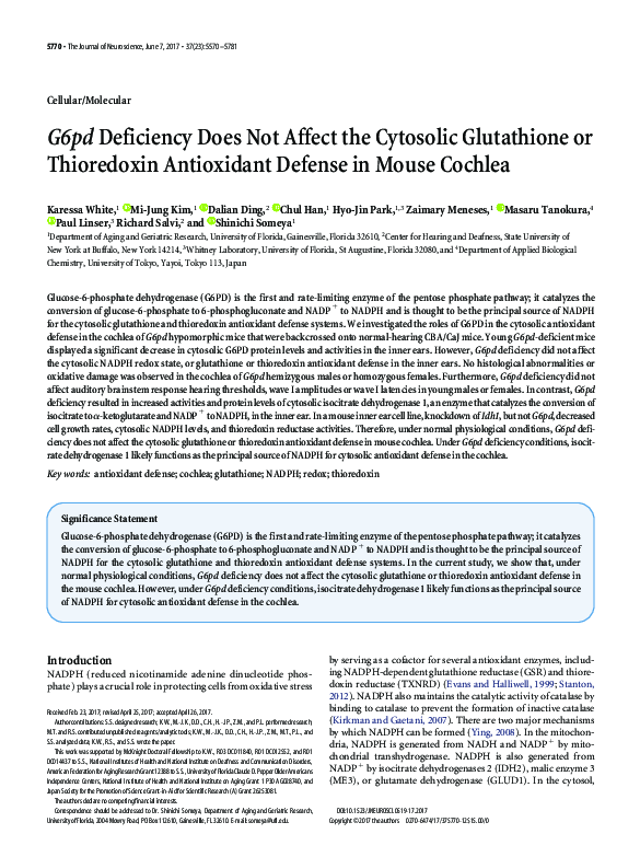 (PDF) G6pd Deficiency Does Not Affect the Cytosolic Glutathione or Thioredoxin Antioxidant