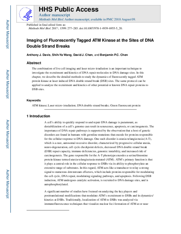 (PDF) Imaging of Fluorescently Tagged ATM Kinase at the Sites of DNA ...