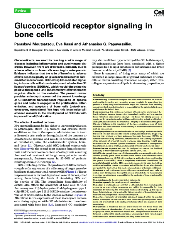 (PDF) Glucocorticoid receptor signaling in bone cells