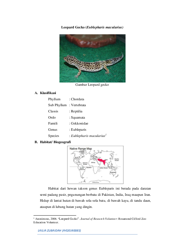(PDF) Leopard Gecko (Eublepharis macularius)