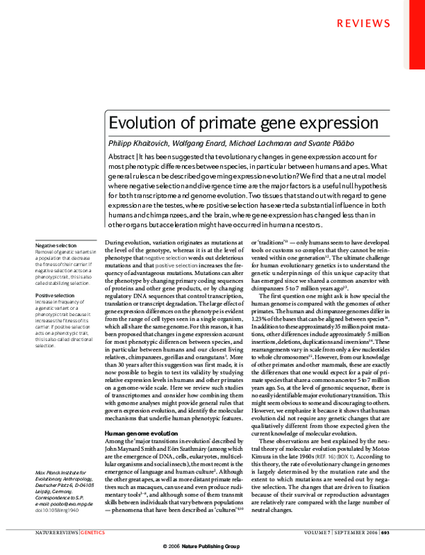 (PDF) Evolution of primate gene expression