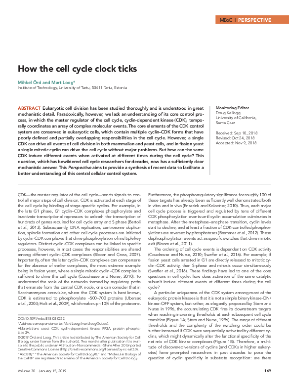 (PDF) How the cell cycle clock ticks