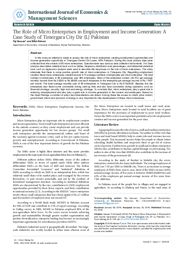 (PDF) The Role of Micro Enterprises in Employment and Income Generation ...