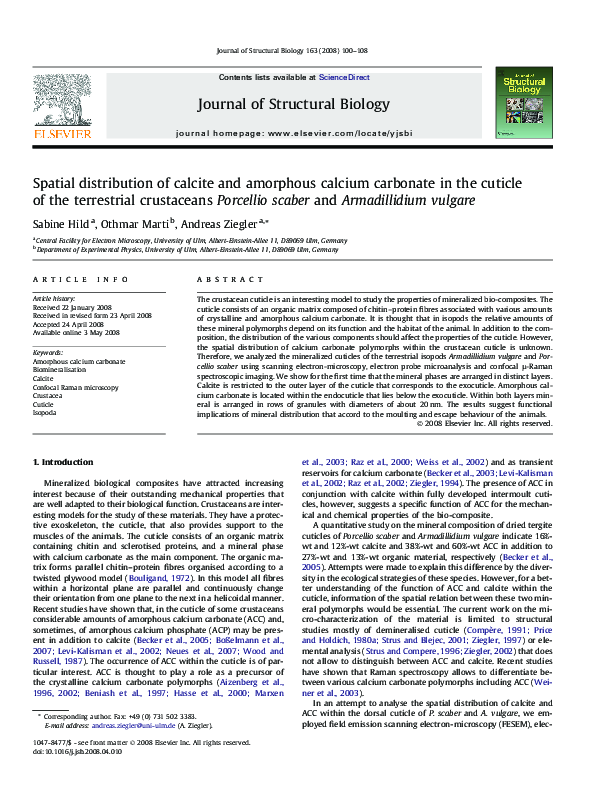 (PDF) Spatial distribution of calcite and amorphous calcium carbonate ...