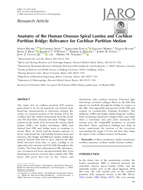 (PDF) Anatomy of the Human Osseous Spiral Lamina and Cochlear Partition Bridge Relevance for