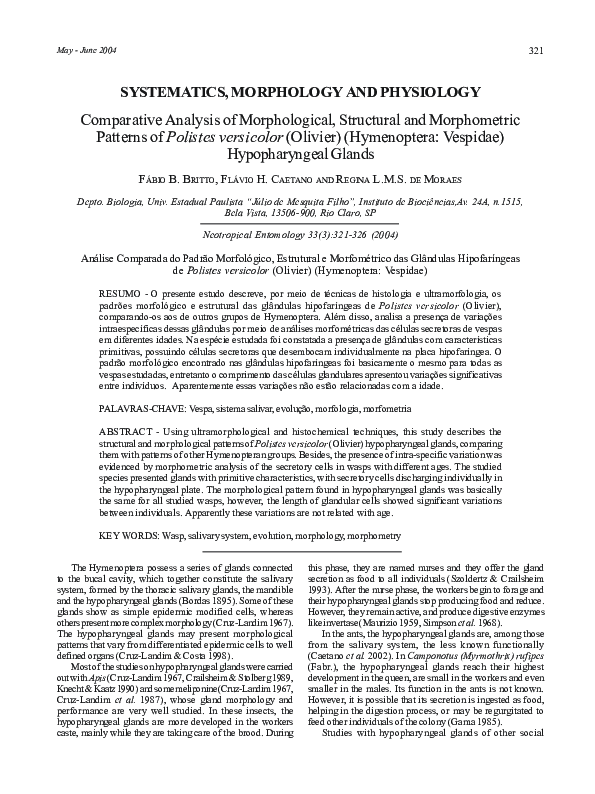(PDF) Comparative analysis of morphological, structural and ...