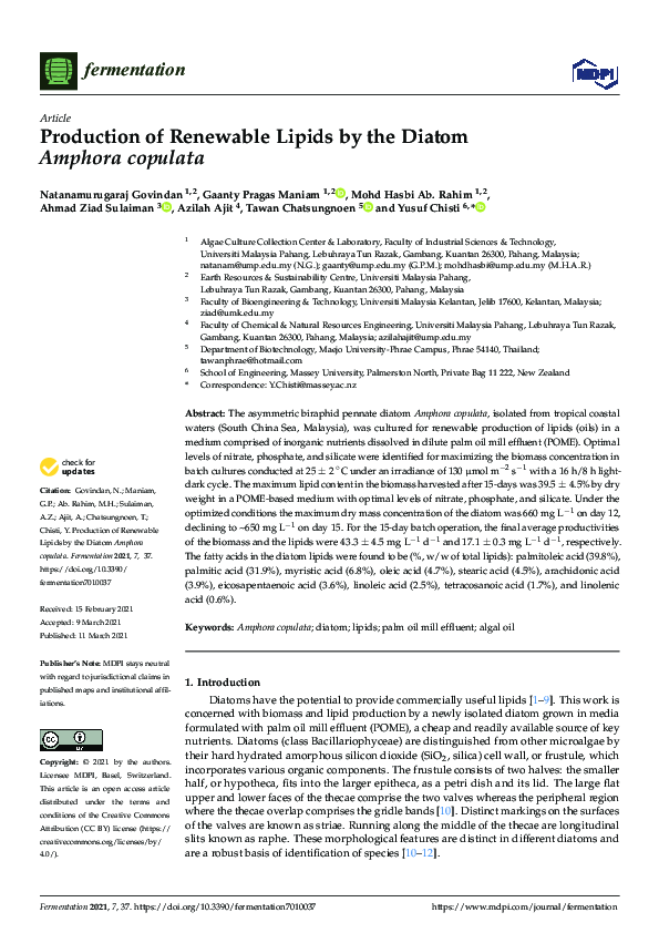 (PDF) Production of Renewable Lipids by the Diatom Amphora copulata