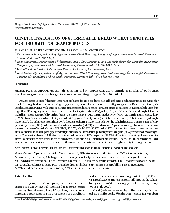Genetic evaluation of 80 irrigated bread wheat genotypes for drought ...
