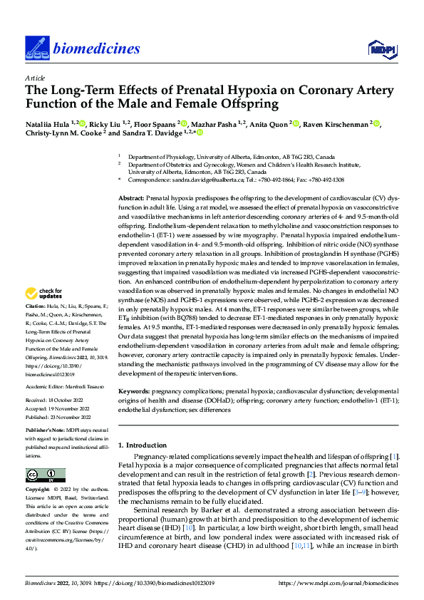 (PDF) The Long-Term Effects of Prenatal Hypoxia on Coronary Artery ...