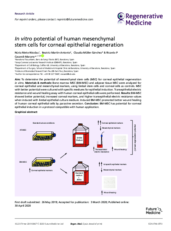 (PDF) In vitro potential of human mesenchymal stem cells for corneal ...
