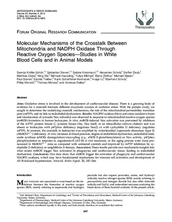 (PDF) Crosstalk Between Mitochondria and NADPH Oxidase