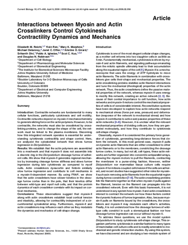 (PDF) Interactions between Myosin and Actin Crosslinkers Control ...