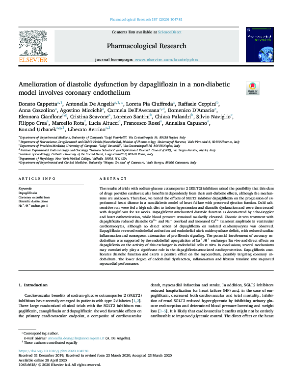(PDF) Amelioration of diastolic dysfunction by dapagliflozin in a non ...