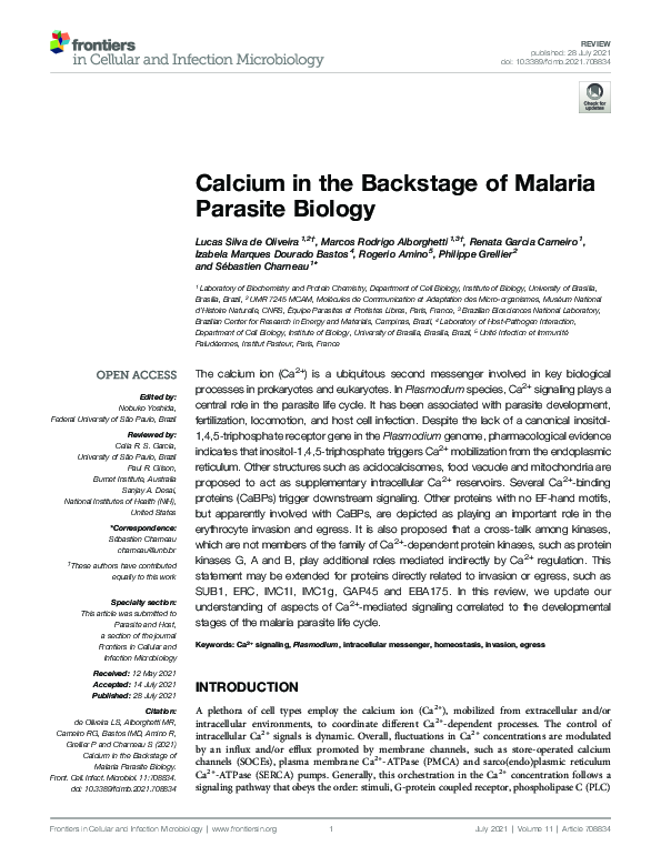 (PDF) Calcium in the Backstage of Malaria Parasite Biology