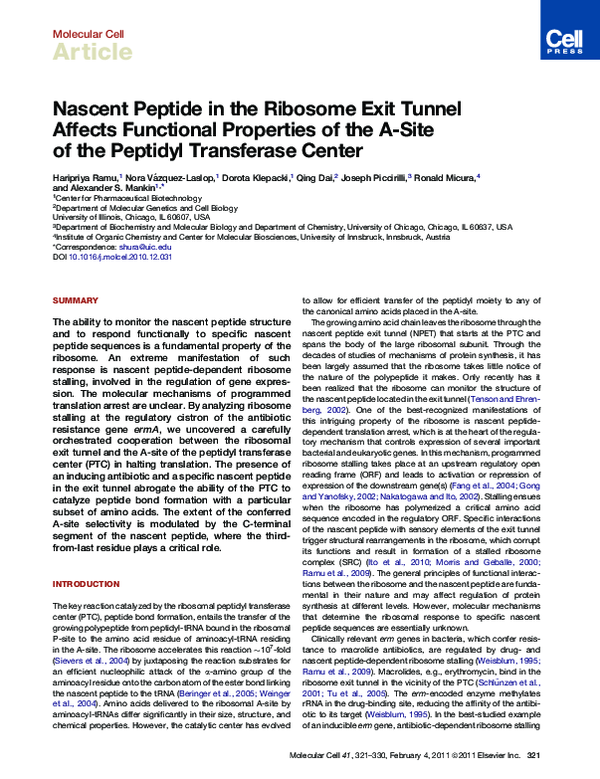 (PDF) Nascent Peptide in the Ribosome Exit Tunnel Affects Functional ...