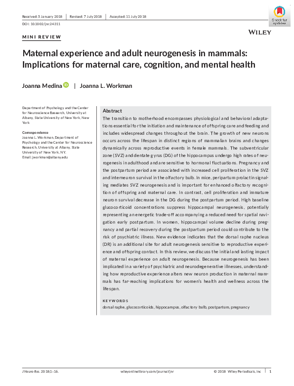 (PDF) Maternal experience and adult neurogenesis in mammals ...