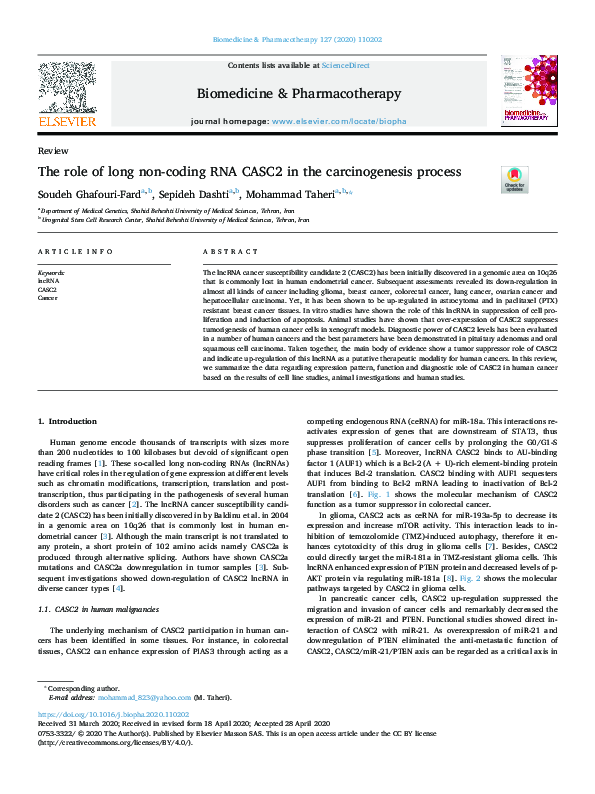 (PDF) The role of long non-coding RNA CASC2 in the carcinogenesis process