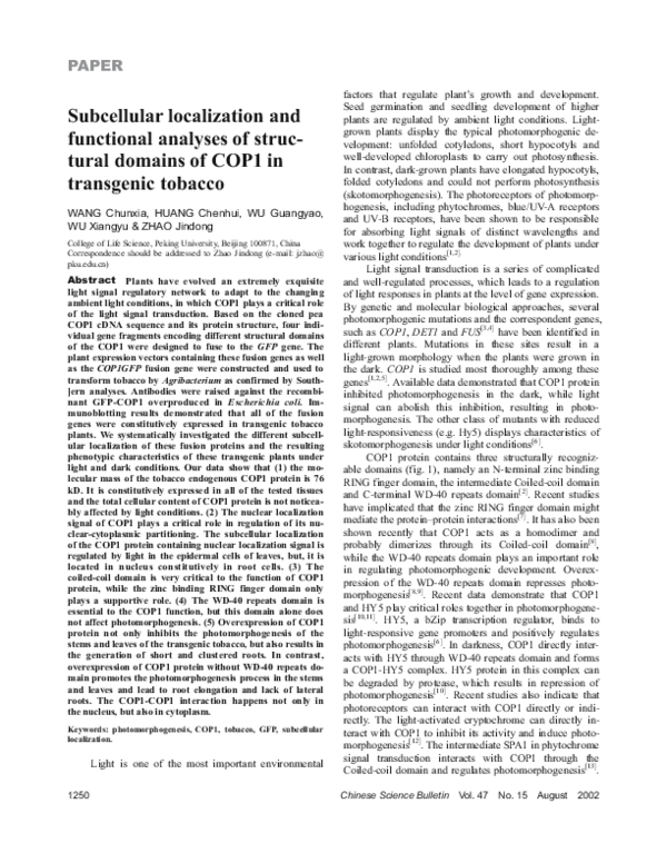 (PDF) Subcellular localization and functional analyses of structural ...