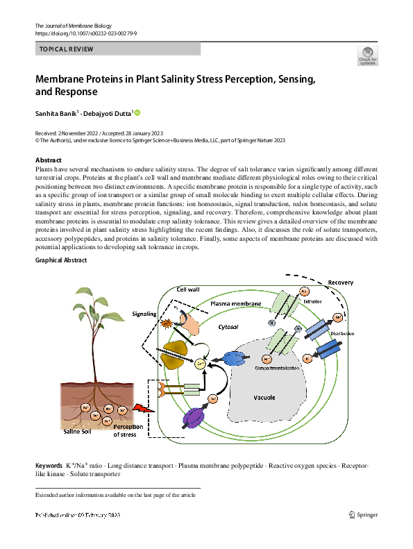 (PDF) Membrane Proteins in Plant Salinity Stress Perception, Sensing ...