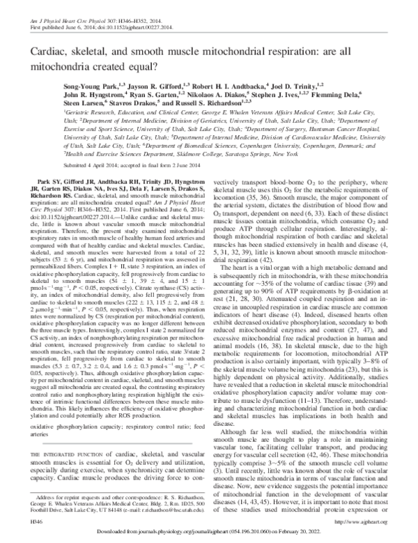 (PDF) Cardiac, skeletal, and smooth muscle mitochondrial respiration ...
