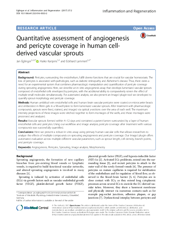 (PDF) Quantitative assessment of angiogenesis and pericyte coverage in ...