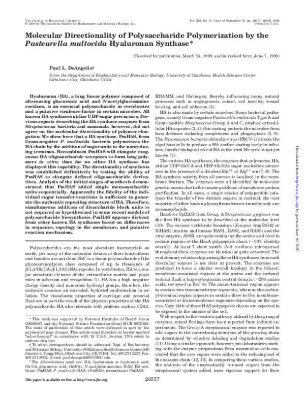 (PDF) Molecular Directionality of Polysaccharide Polymerization by the ...