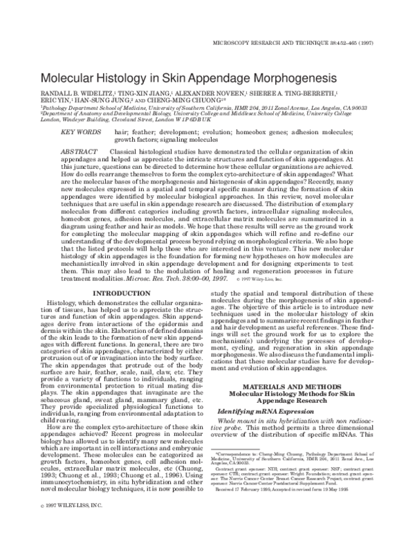 (PDF) Molecular histology in skin appendage morphogenesis | Ting-xin ...