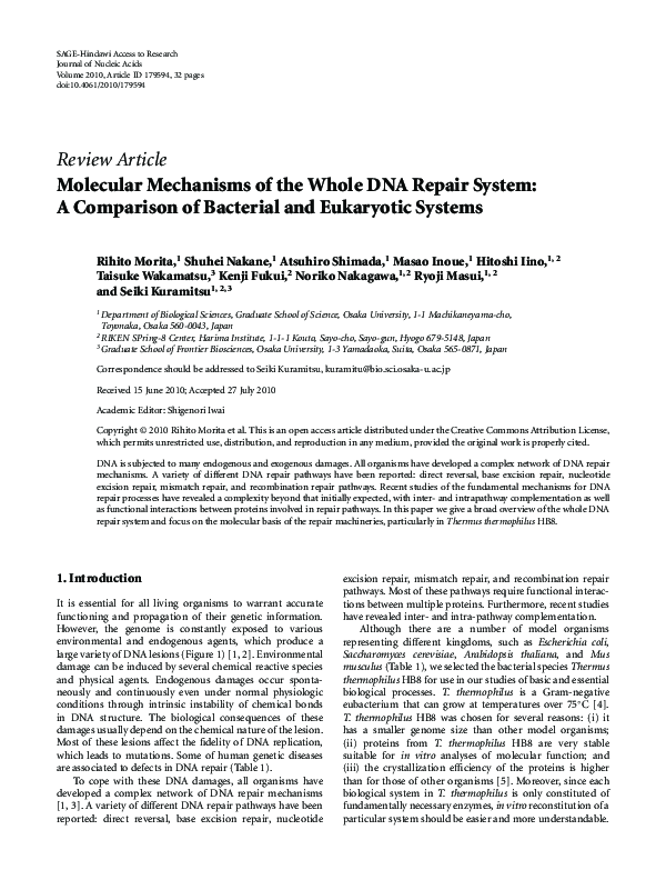 (PDF) Molecular mechanisms of the whole DNA repair system: a comparison ...