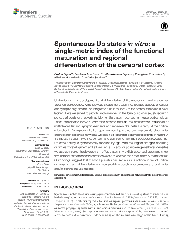 (PDF) Spontaneous Up states in vitro: a single-metric index of the ...
