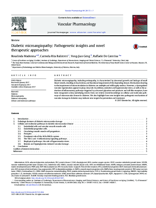 (PDF) Diabetic microangiopathy: Pathogenetic insights and novel ...