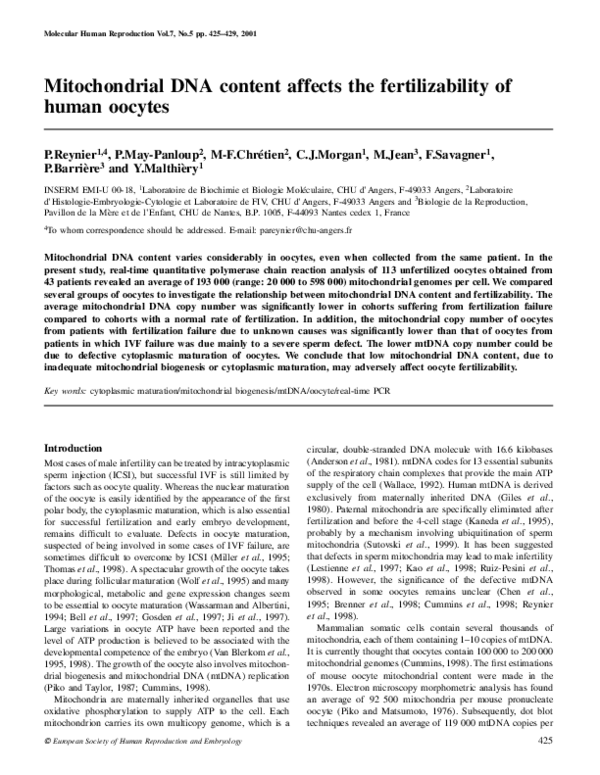 (PDF) Mitochondrial DNA content affects the fertilizability of human ...