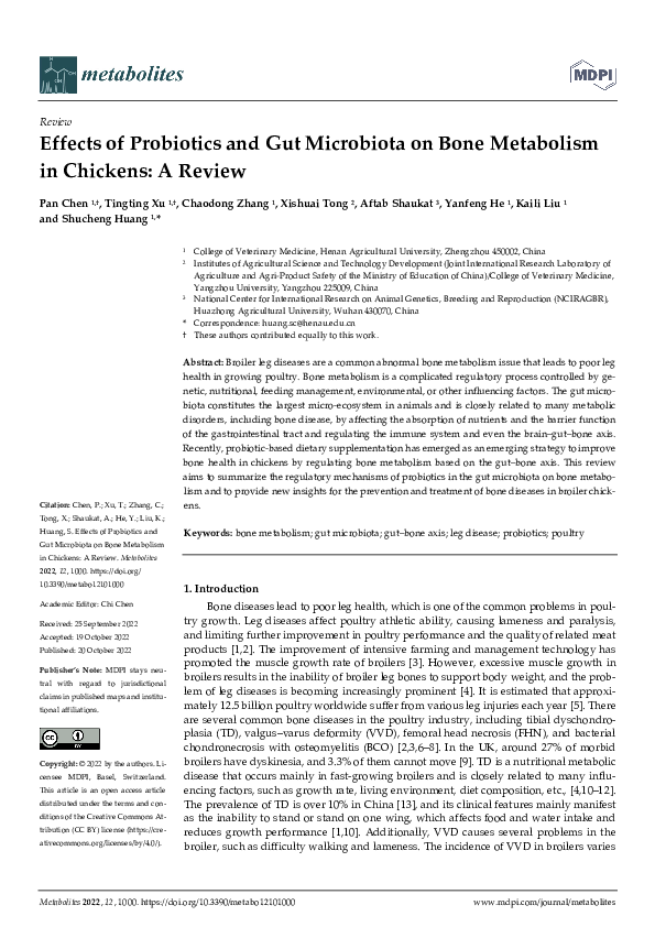 (PDF) Effects of Probiotics and Gut Microbiota on Bone Metabolism in ...