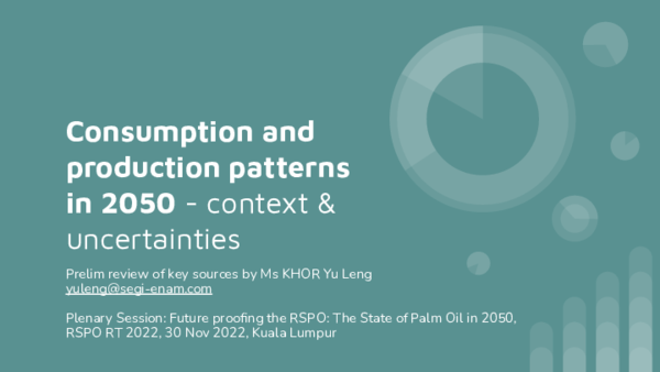 (PDF) Consumption and production patterns in 2050 -context & uncertainties