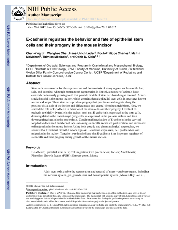 (PDF) E-cadherin regulates the behavior and fate of epithelial stem ...