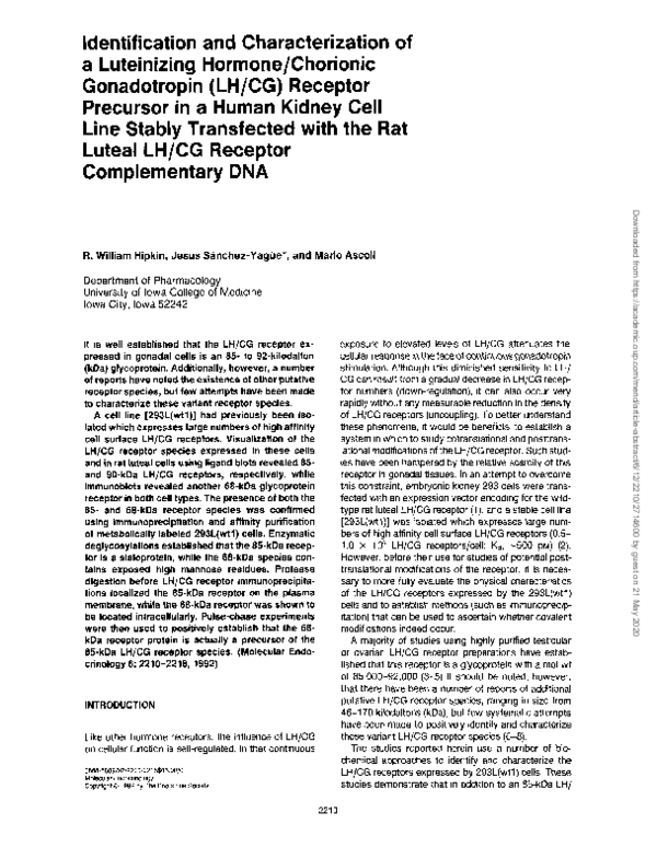 (PDF) Identification and characterization of a luteinizing hormone ...