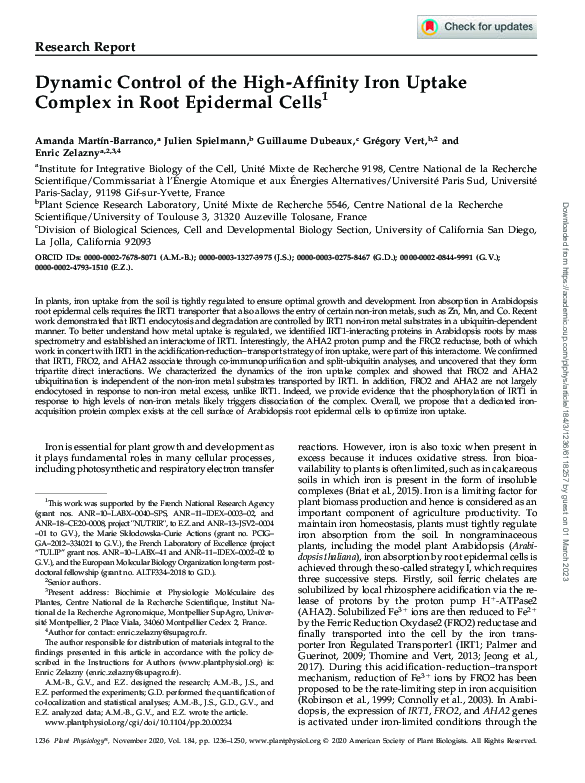 (PDF) Dynamic Control of the High-Affinity Iron Uptake Complex in Root ...