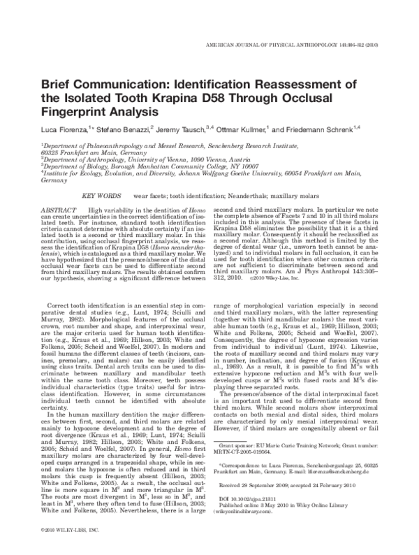 (PDF) Brief communication Identification reassessment of the isolated tooth Krapina D58 through