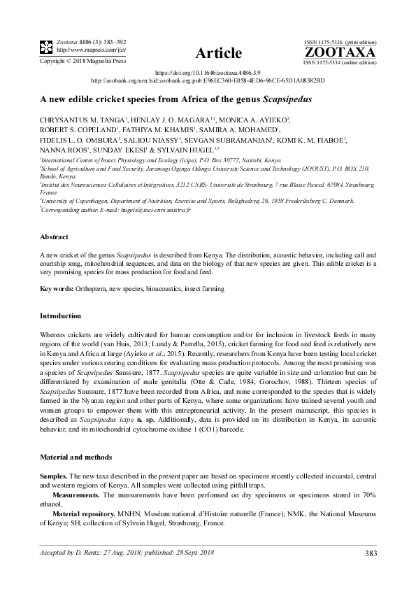 (PDF) A new edible cricket species from Africa of the genus Scapsipedus ...