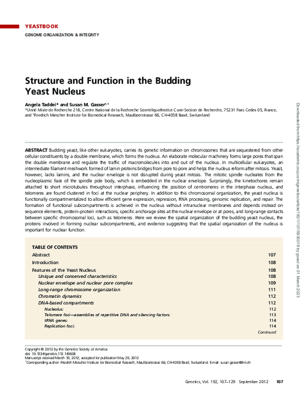 (PDF) Structure and Function in the Budding Yeast Nucleus
