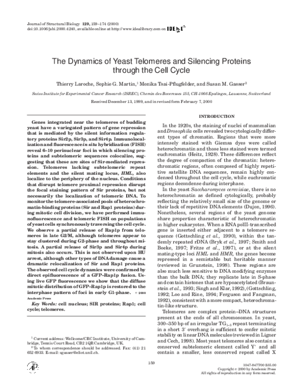 (PDF) The Dynamics of Yeast Telomeres and Silencing Proteins through ...