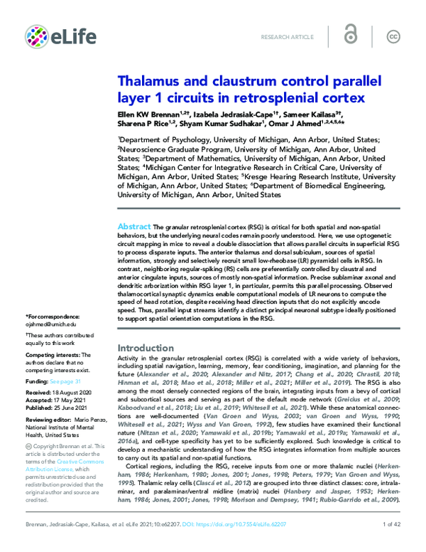 (PDF) Thalamus and claustrum control parallel layer 1 circuits in ...